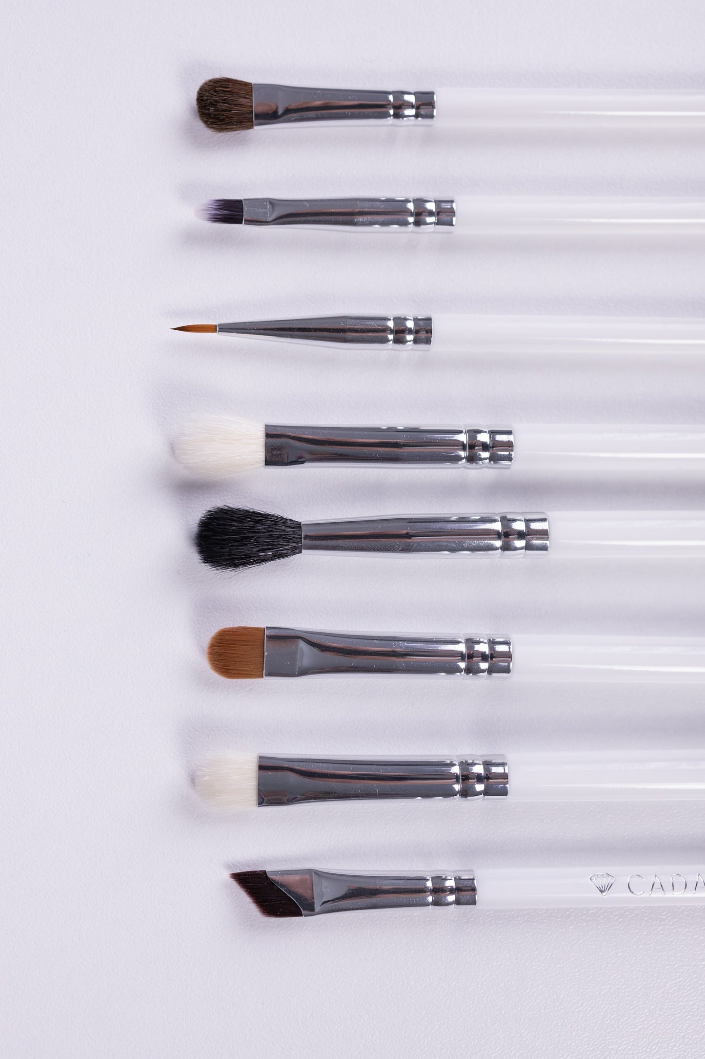 Basic Luxe Collection